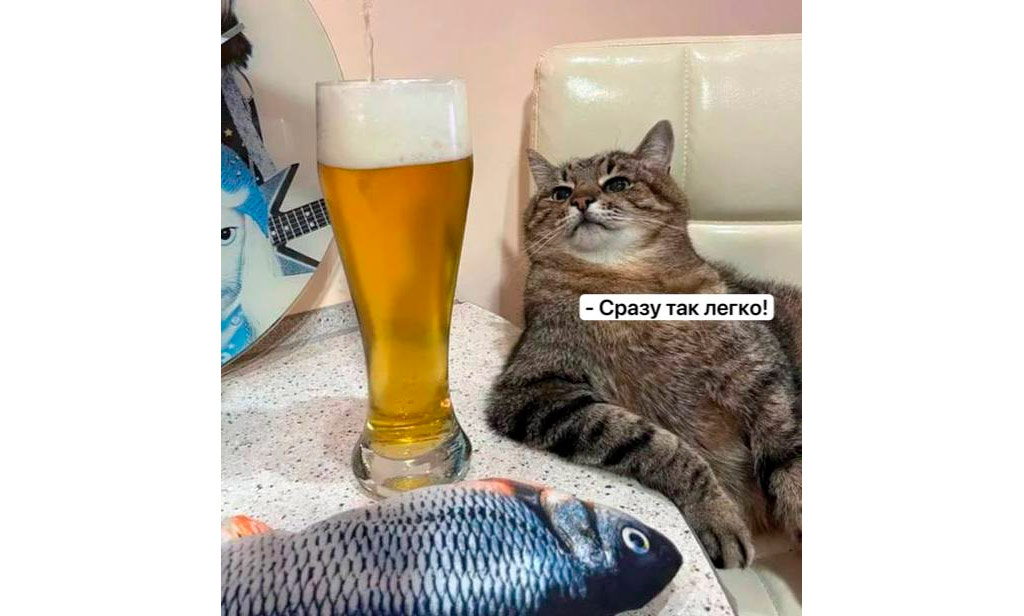 День лёгкого пива